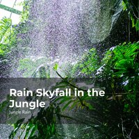 Wild Birds in Downpour - Nature and Rain & Deep Rain Sampling & Jungle Rain