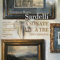 Sonata II in D Minor: III. Andante - Stefano Bruni & Giovanni Battista Scarpa & Paola Talamini & Bettina Hoffmann
