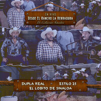 Andamos Borrachos Todos - En Vivo - Dupla Real & El Lobito de Sinaloa & Los Gfez