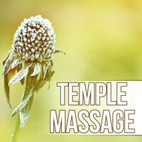 Spa Holiday - SPA & Wellness Massage Masters