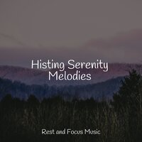 Heavenly Cloud - Massage & Namaste Healing Yoga & Study Music & Sounds