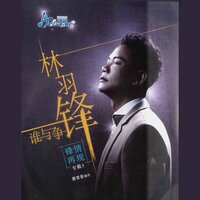 你为什么 - 林羽锋