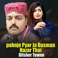 Pahnje Pyar Ja Dusman Hazar Thai - Dilsher Tewno