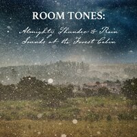 Almighty Thunder & Rain Sounds at the Forest Cabin, Pt. 12 - Nowak Sommer