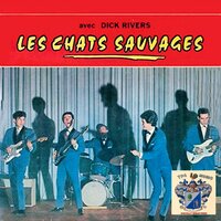 Tout ce qu'elle voudra - Les Chats Sauvages