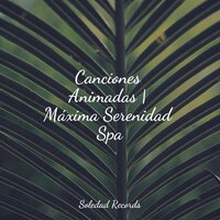 Puesta De Sol De La Libélula - Musica Para Meditar & Dormir & Entrenamiento Autógeno y Meditación Specialistas