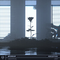 Perception - Øfdream