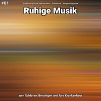 Ruhige Musik Teil 79 - Entspannungsmusik Sebastian Noiro & Schlafmusik & Entspannungsmusik