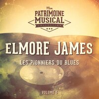 Sho' Nuff I Do - Elmore James