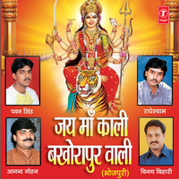 Baadi Bakhora Pur Waali Maiya - Radhe Shyam Rasiya