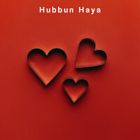 Zayed Al Wafa (Slowed Reverb) - Hasan Ahmed