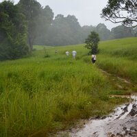Chakras Calmantes - Música a Relajarse & Musica Para Meditar y Relajarse & Musica para Meditar Especialistas