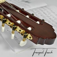 Smooth Flow - Smooth Guitar Zone