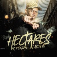 Hectares - Mc Pexinho & Dj ak beats