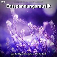 Entspannungsmusik pt. 74 - Entspannungsmusik Olivia Lehen & Schlafmusik & Entspannungsmusik