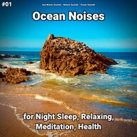 Ocean Noises Pt. 79 - Sea Waves Sounds & Nature Sounds & Ocean Sounds