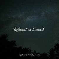 Oxygen - Binaural Beats Isochronic Tones Lab & Sleepy Night Music & Alpha Brain Waves