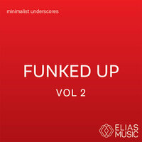 Fun Funk MIN - David Wittman & Alistair Christopher Fernandes & David Wittman, Alistair Christopher Fernandes