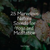 Small Ocean Waves Lapping - Musica Reiki & Binaural Beats & Classical New Age Piano Music