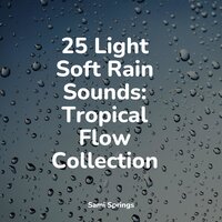 White Noise Roof Shed Rain - Mother Nature FX & Rain Shower Spa & Relaxing Nature Ambience