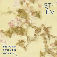 Bamboo Delays - Stev