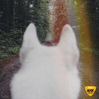 iN MY DREAM (Emart Music Challenge) - Sian