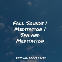 Acknowledging True Emotions - Guided Meditation & Zarobi & Reiki Music