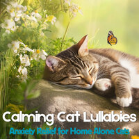 Linger with the Lynx - RelaxMyCat & Cat Music Dreams & Cat Music Zone