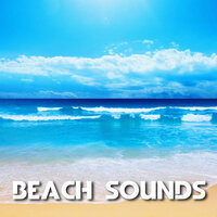 Hot Afternoon Calm Beach - The Nature Sounds & Beach Sounds & Ocean Sounds & Tropical Sounds & Nature Breeze & The Sounds of Nature
