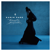 Dangerous Caress - Karin Park
