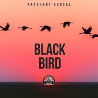 Vibes - Prashant Bhusal