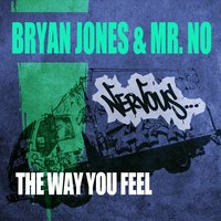 The Way You Feel - Bryan Jones & Mr. No