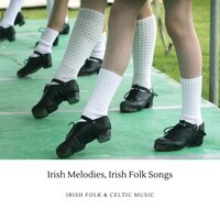 Celtic Harp - Irish Folk & Celtic Music