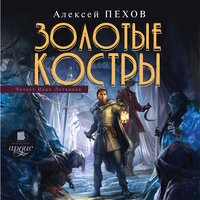 Алексей Пехов. «Золотые костры». Часть 80 - Иван Литвинов