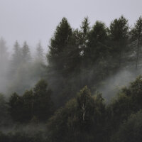 Ambient Music for Stress Relief - Oasis de Détente et Relaxation & Yoga Para Ninos & Thunder and Rain Storm