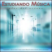 Sonidos de onda - Música tranquila - Musica para Concentrarse & Fondo de la lectura & Música para Leer