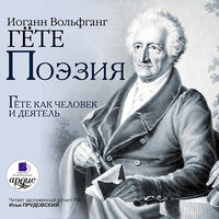 Иоганн Вольфганг Гете. «Поэзия. Холодковский Н.А. Гете как человек и деятель». Часть 18 - Илья Прудовский