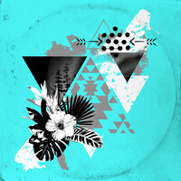 Orenda (Hawaii Vip) - Groovy Wild