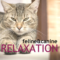 My Loved Companion - Music for Dogs Collective