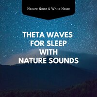 6Hz Sleep Theta Waves with Seagull Sounds - Nature Noise & White Noise