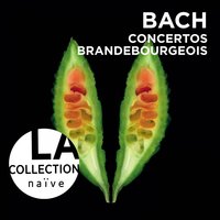 Concerto No 1 in F Major BWV 1046: IV.Menuet - Rinaldo Alessandrini & Concerto Italiano & Johann Sebastian Bach