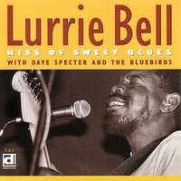 Lonesome Guitar Man - Lurrie Bell