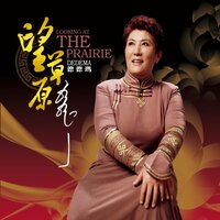 我思念故乡 - 德德玛 & 德德瑪