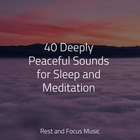 Soothing Ceremony - Meditation Zen & Massagem Coleção de Músicas & Academia de Música para Massagem Relaxamento