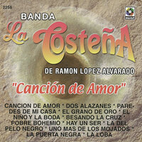 El Grano De Oro - Banda la Costeña