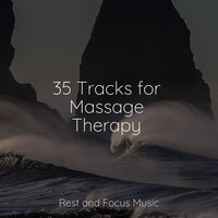 Serene Daydream - Relaxing Nature Music & Musica relajante & The White Noise Zen & Meditation Sound Lab