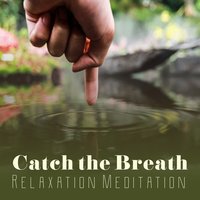 Finding Stillness - Oasis of Relaxation Meditation