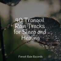 White Noise Drip Drop Rains - Música de la Naturaleza & Relaxing Spa Music & Mindfulness Meditation Universe