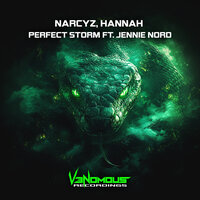 Perfect Storm - Narcyz & Hannah & Jennie Nord