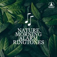 Life in Balance - Mindfulness Meditation Music Spa Maestro